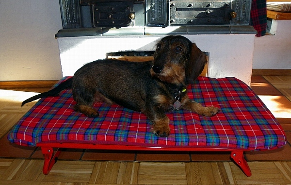 Kundeklappliege-mit-Dackel-600x381
