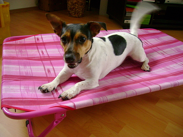 Nelly022-600x450