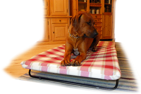 grosse_Liege_mit-Hund-600x400