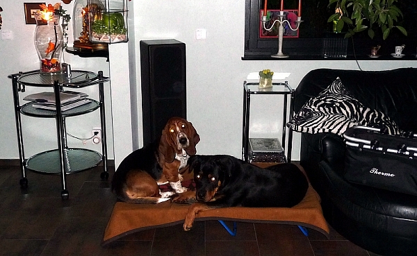 klappliege_0001-600x369