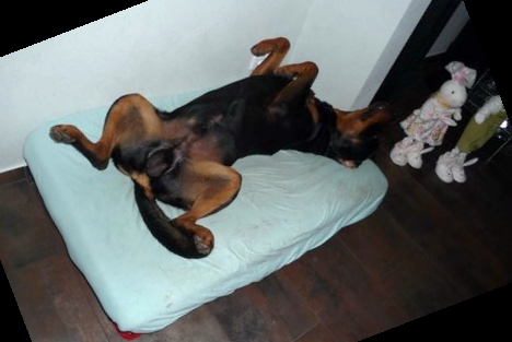 klappliege_0002-468x313